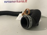 Radiator Lower Hose